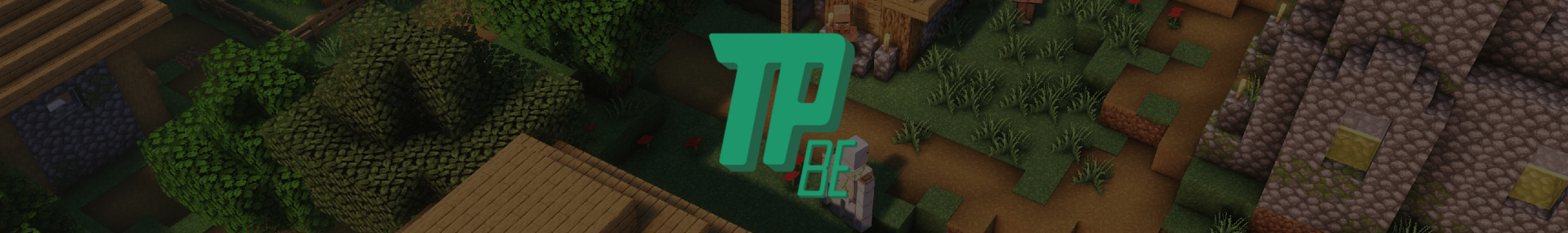 Texturepack.BE Discord bot banner for porting Java texture packs to Bedrock
